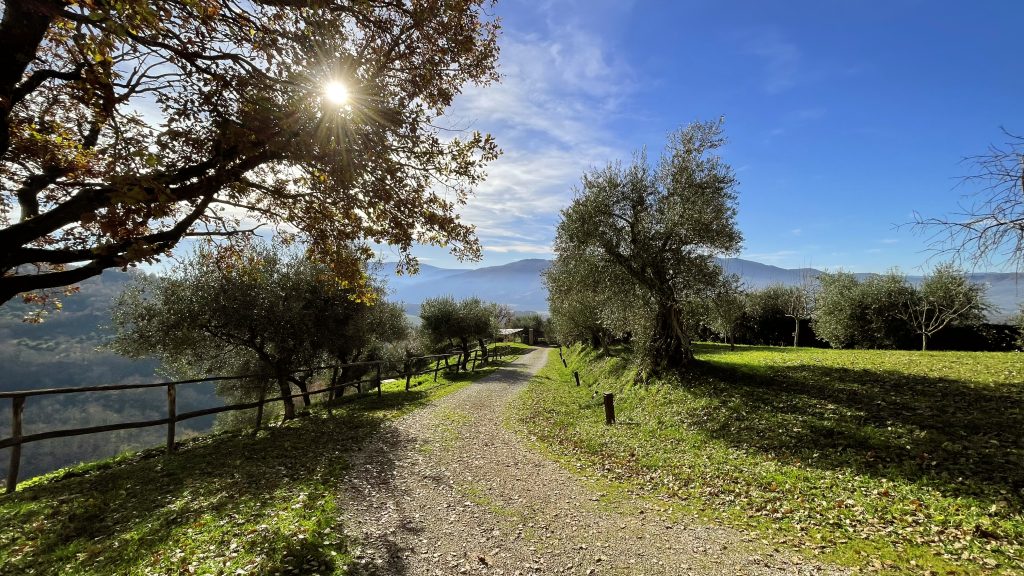 Paesaggio naturale intorno all'Agriturismo Ampugnano in Umbria